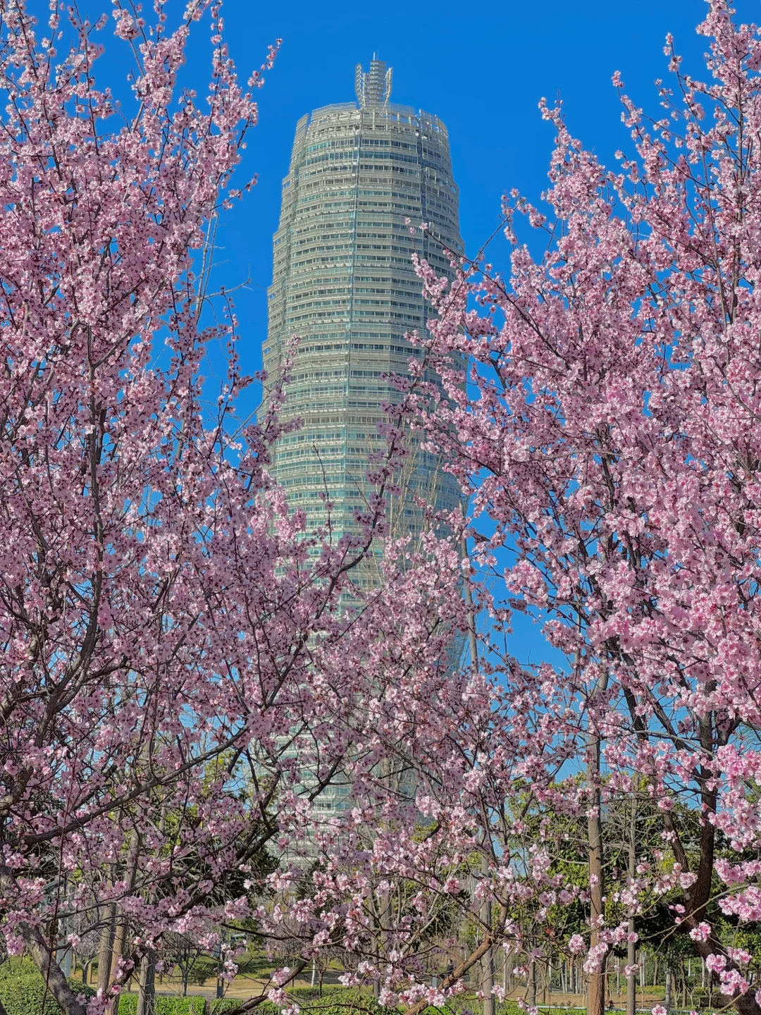 郑州最好的地方都是免费的。。。