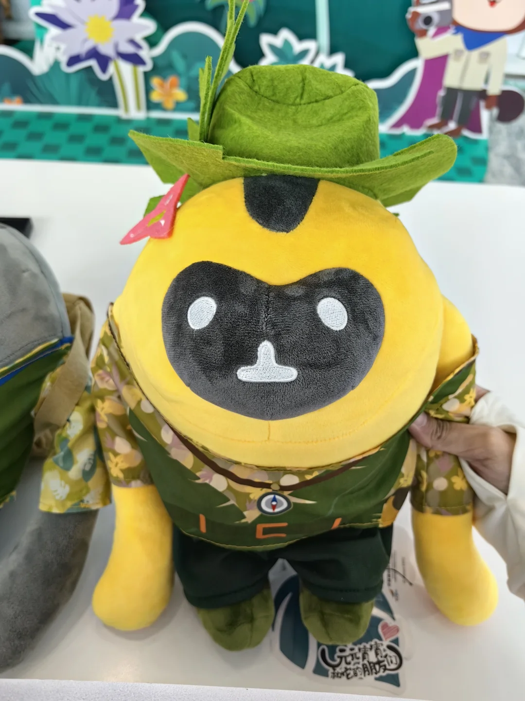 来消博会现场啦