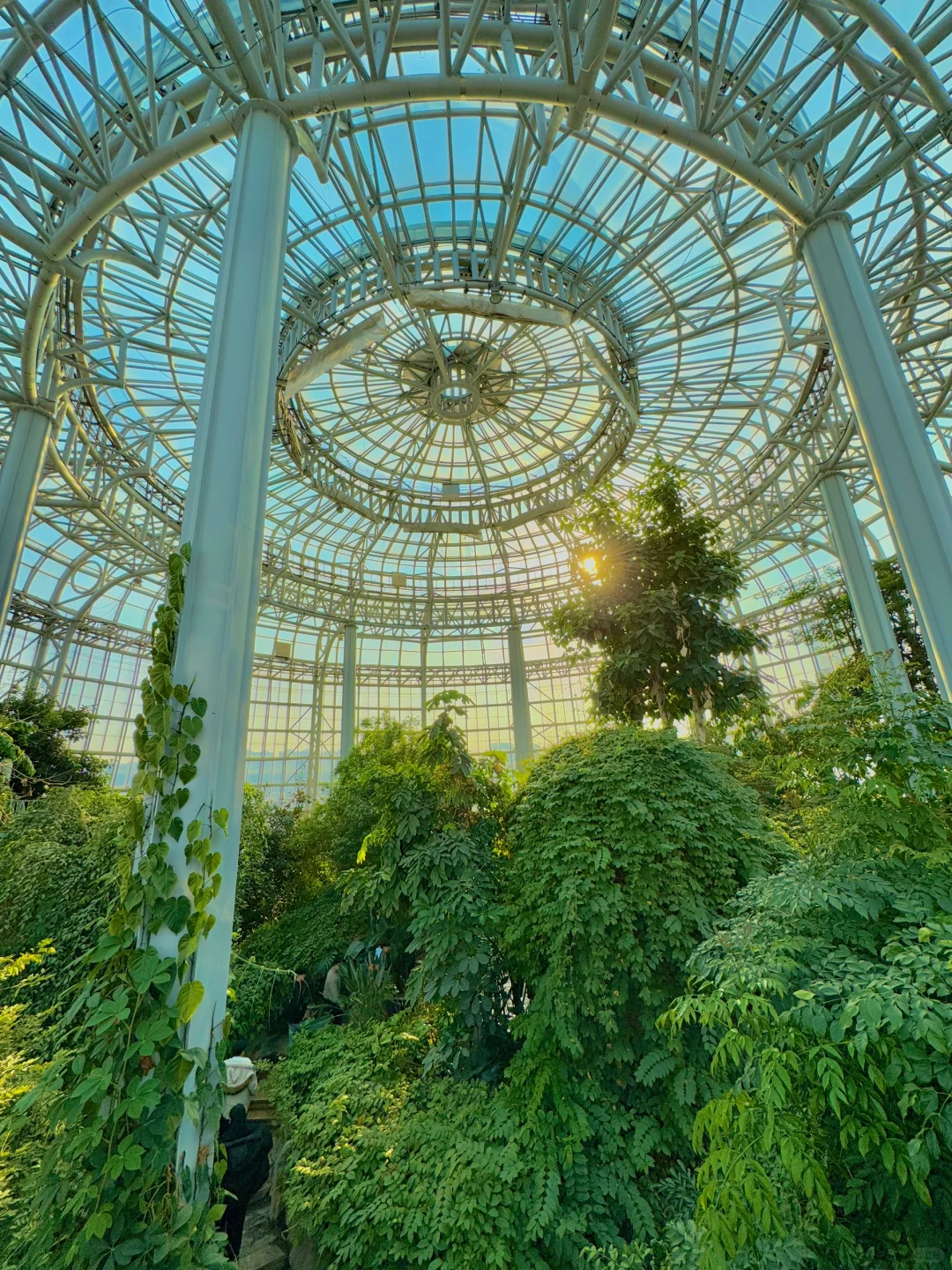 郑州最好的地方都是免费的。。。