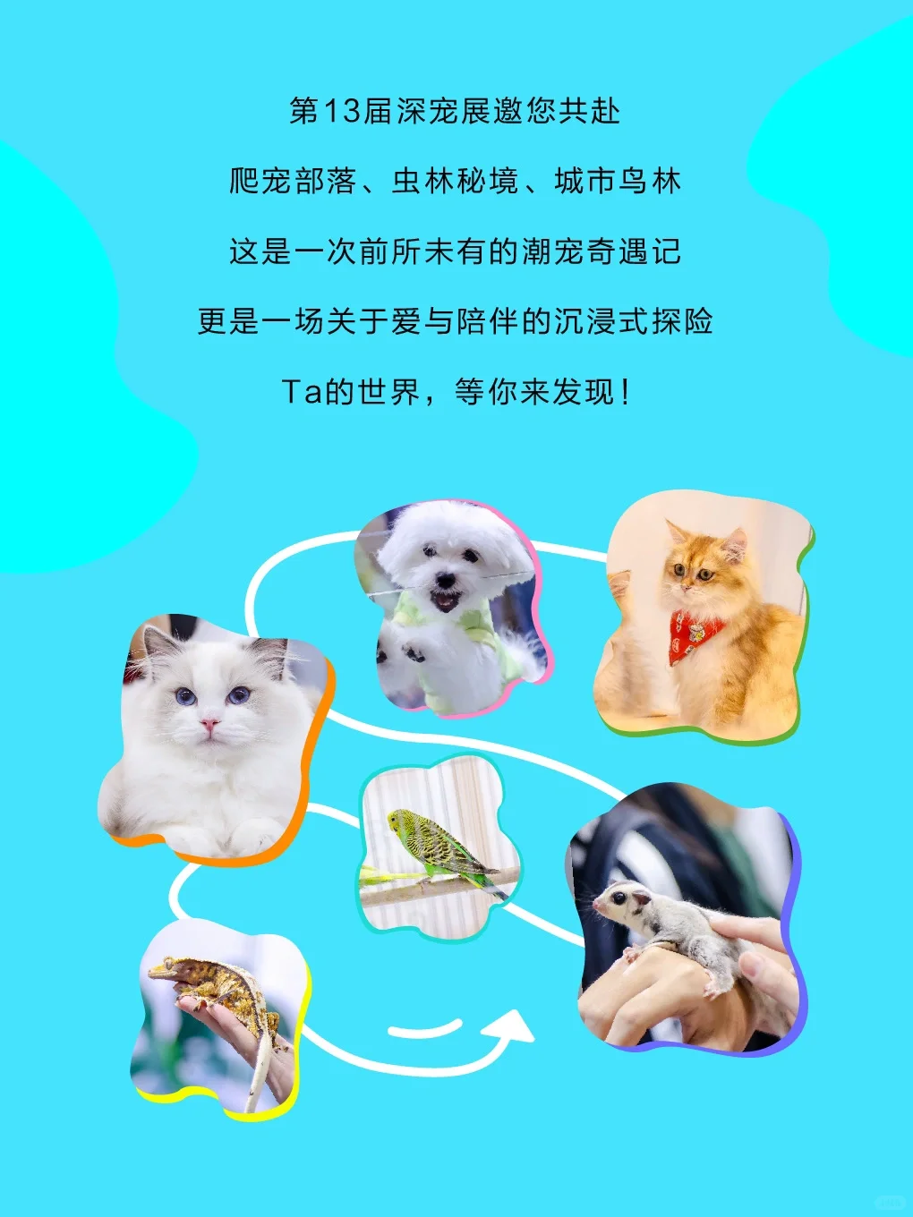 ?2025第13届深圳国际宠物展全攻略来啦!?