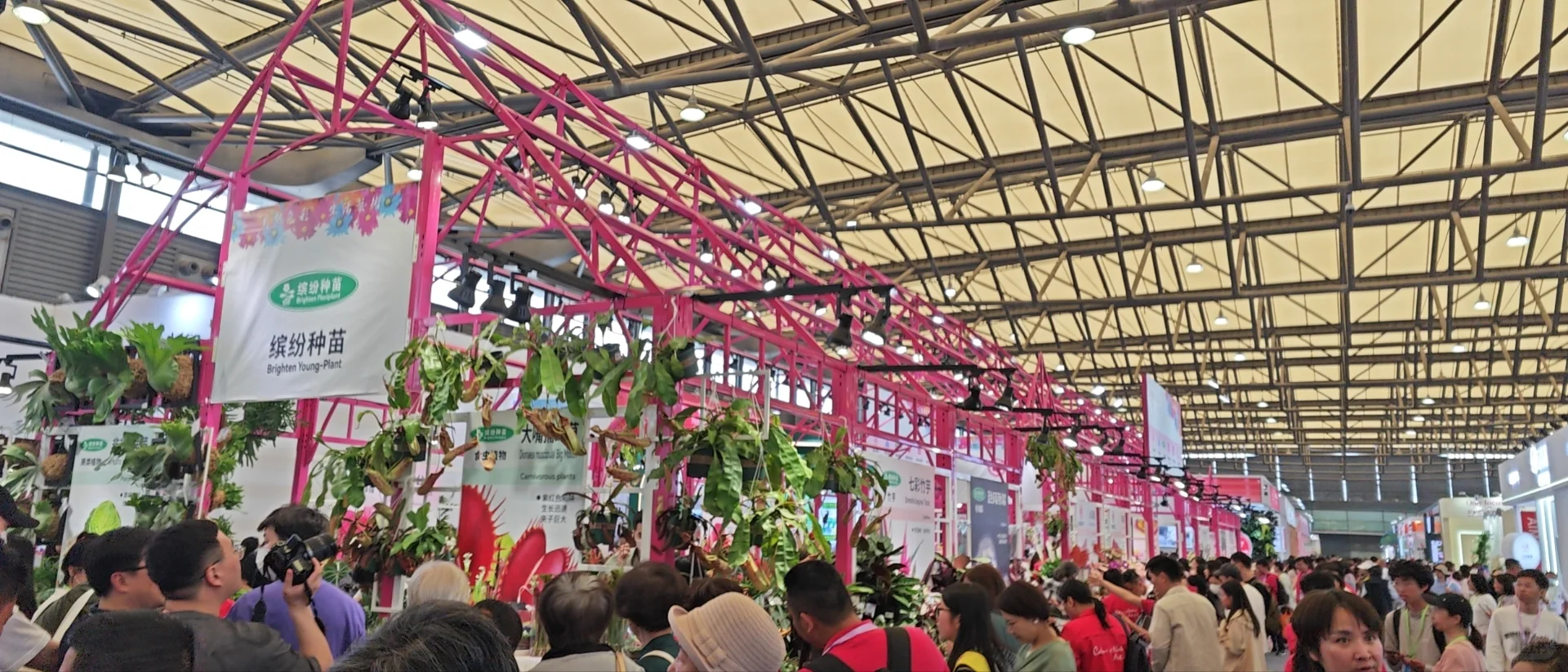 普通人参加亚洲最大园艺展会最应该拿什么