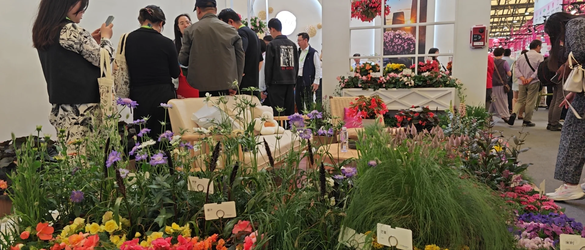 普通人参加亚洲最大园艺展会最应该拿什么