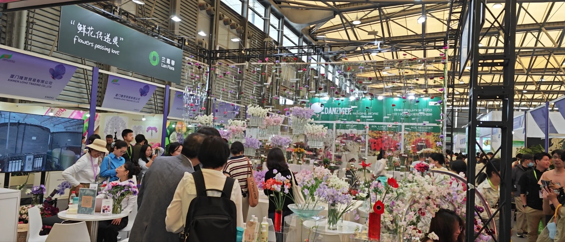 普通人参加亚洲最大园艺展会最应该拿什么