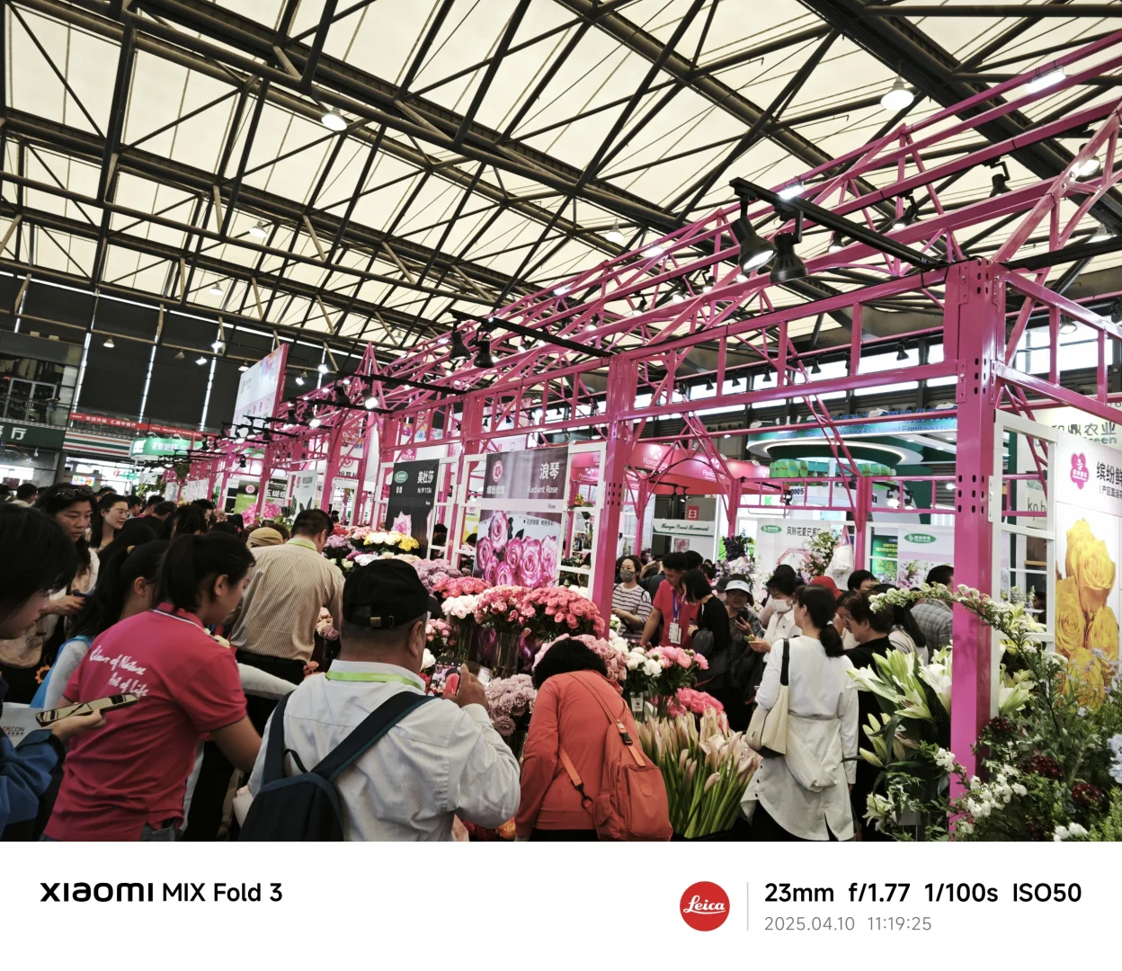 普通人参加亚洲最大园艺展会最应该拿什么