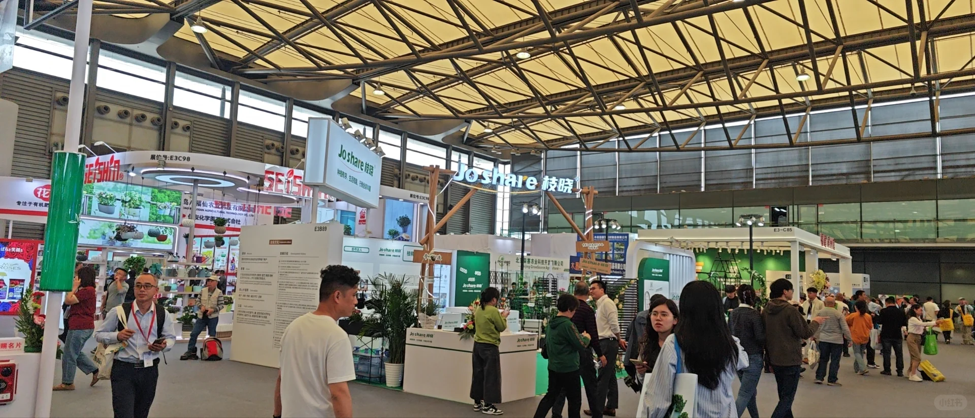 普通人参加亚洲最大园艺展会最应该拿什么