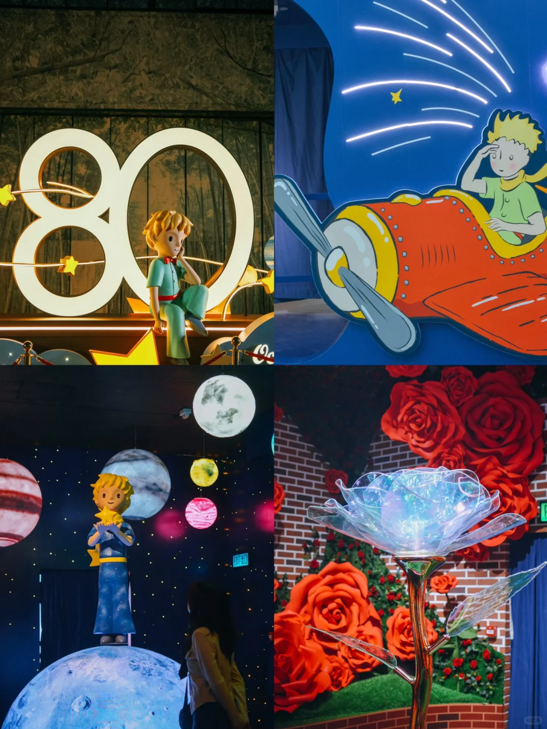 ?香港海洋公园圣诞游玩必知道的10件事