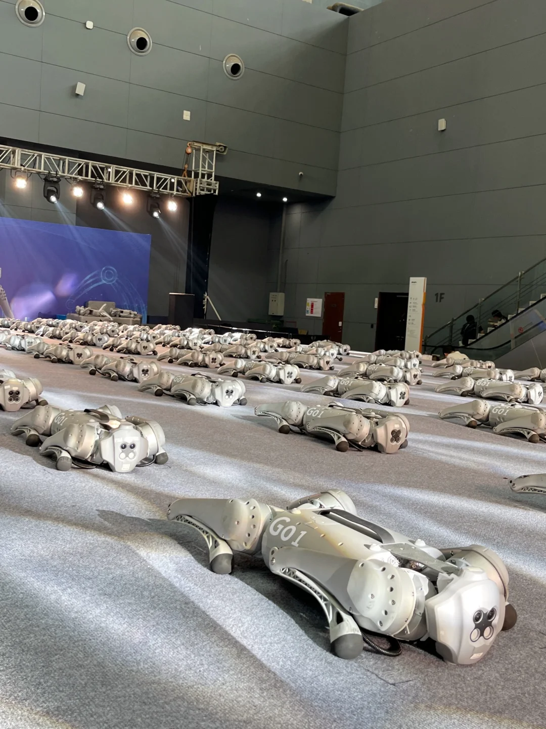 数博会现场图来啦