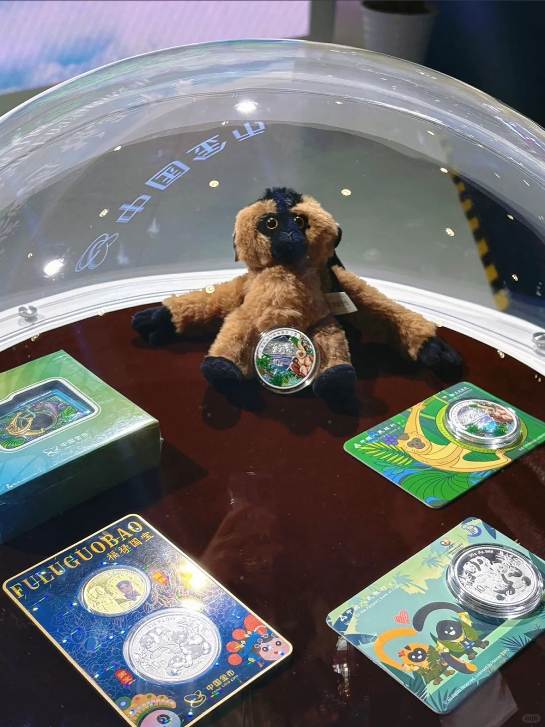 消博会探宝：我发现了热带雨林的微缩史诗