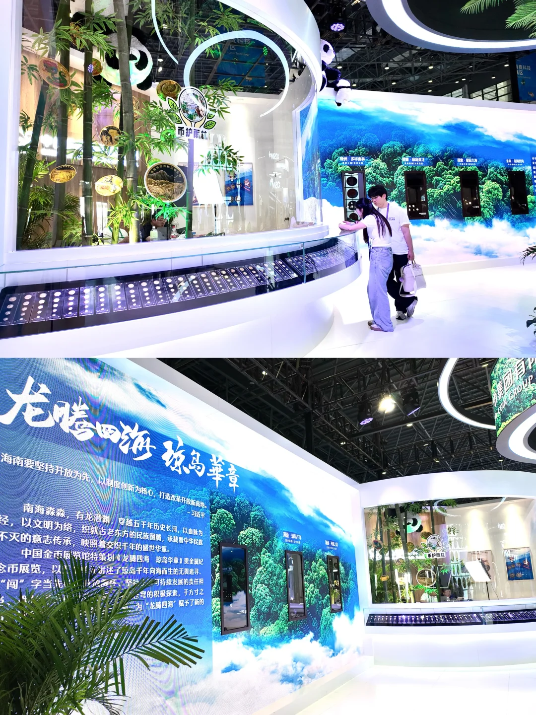 消博会探宝：我发现了热带雨林的微缩史诗