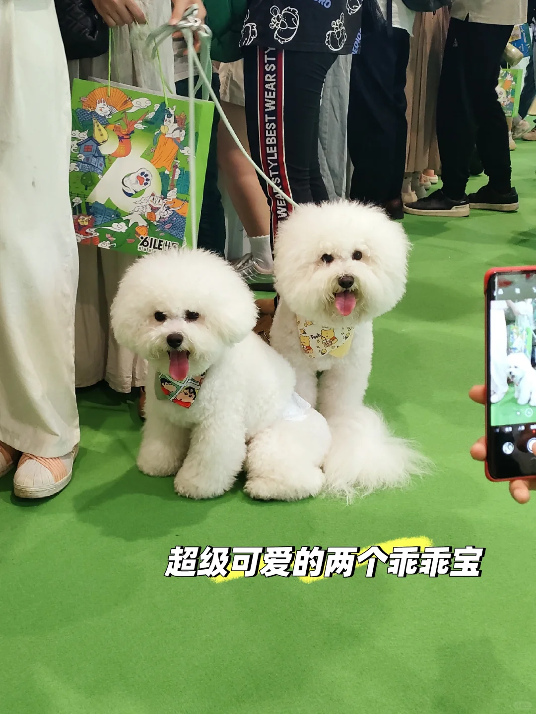 南宁宠物博览会我会爱你一辈子的！！