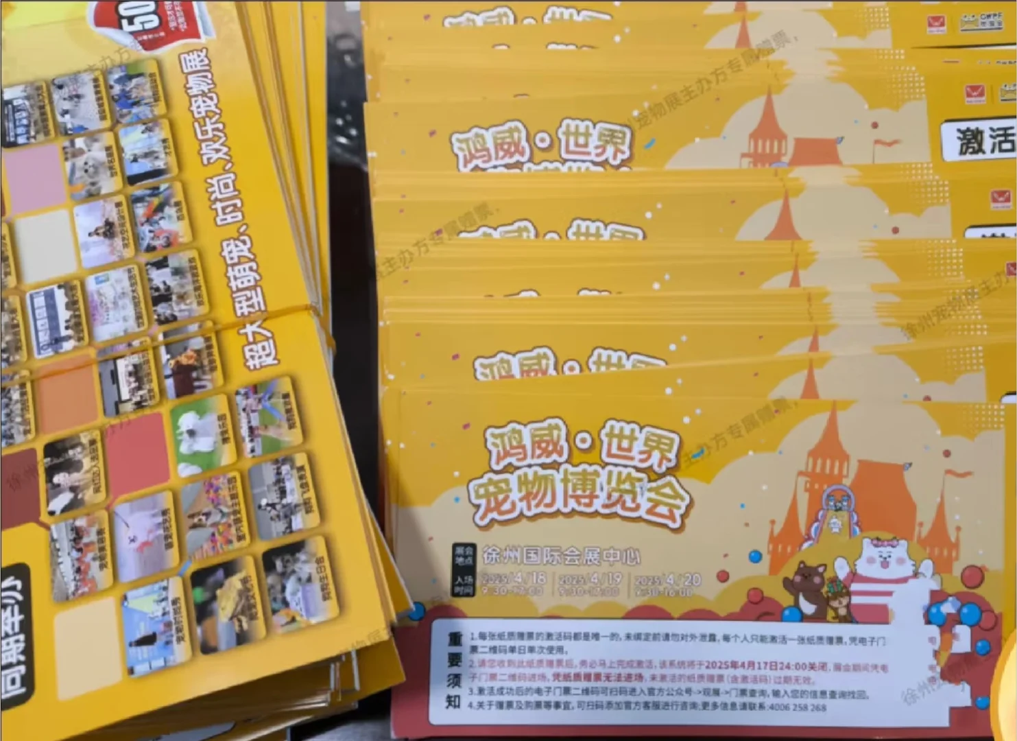 纳猫家徐州宠物展门票放送啦！