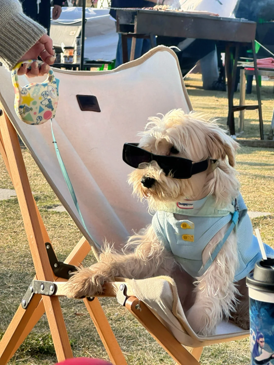 周六带逆子去徐州宠物博览会