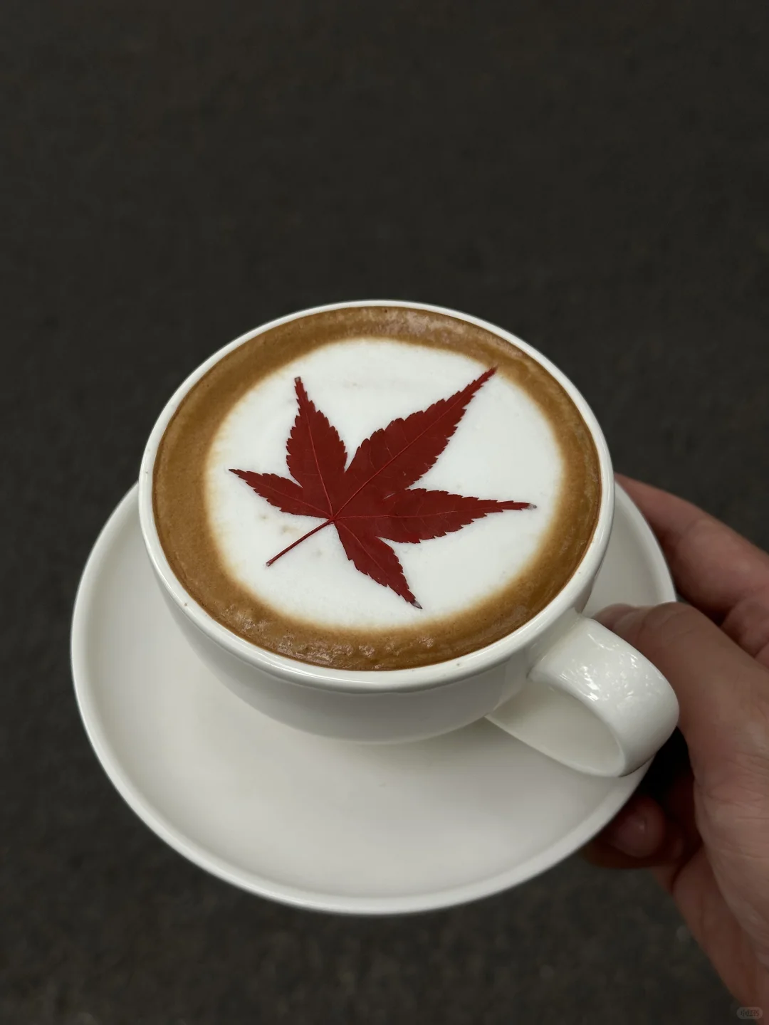 苏州咖啡展终于来了！免费领票！！！