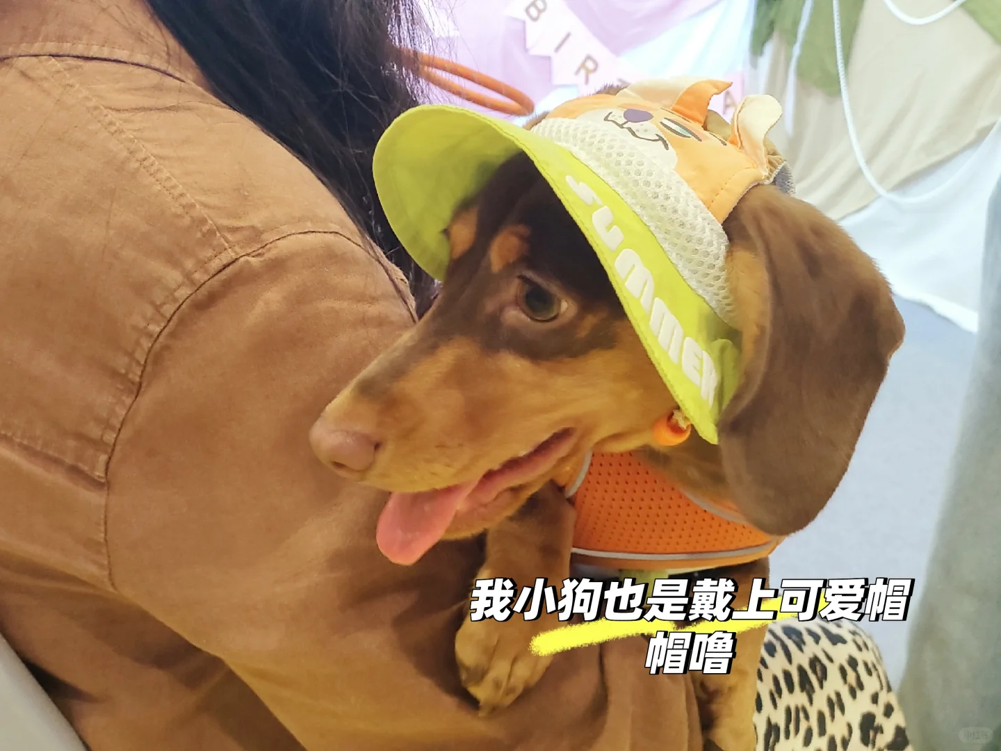 南宁宠物博览会我会爱你一辈子的！！