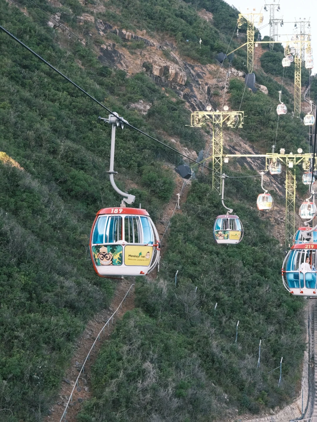 ?香港海洋公园圣诞游玩必知道的10件事