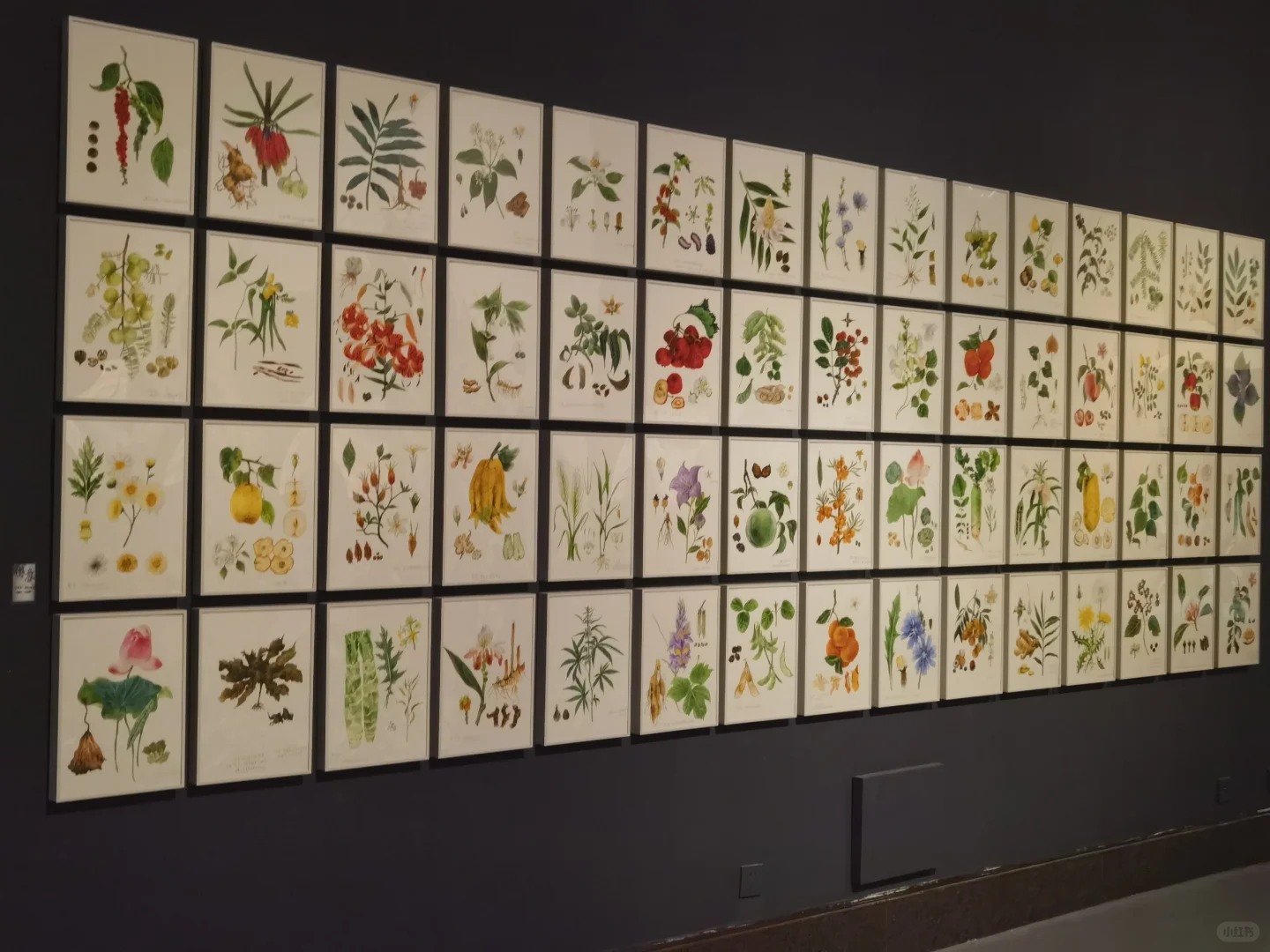 第二届全国手绘艺术大展开幕式