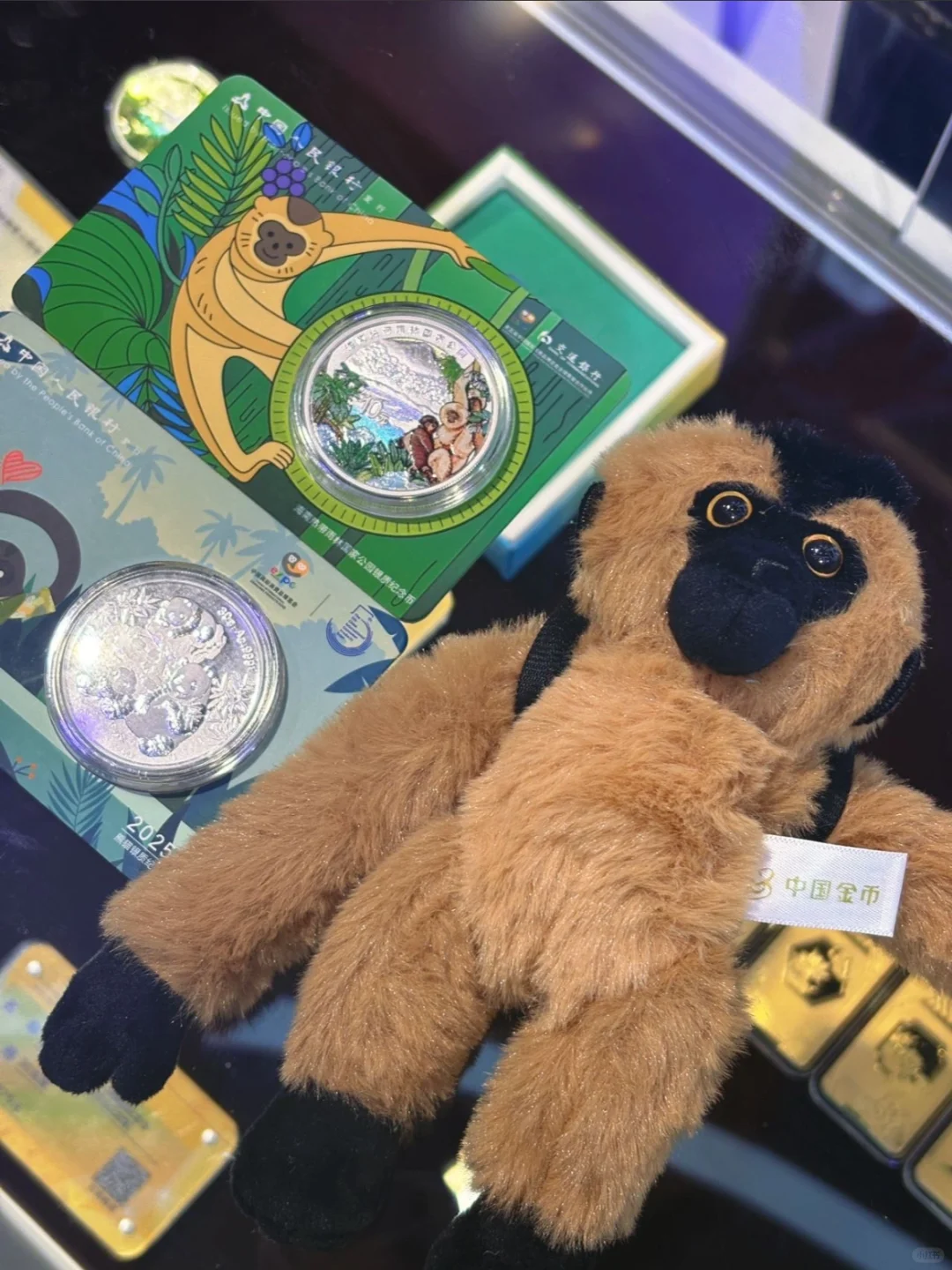 消博会探宝：我发现了热带雨林的微缩史诗