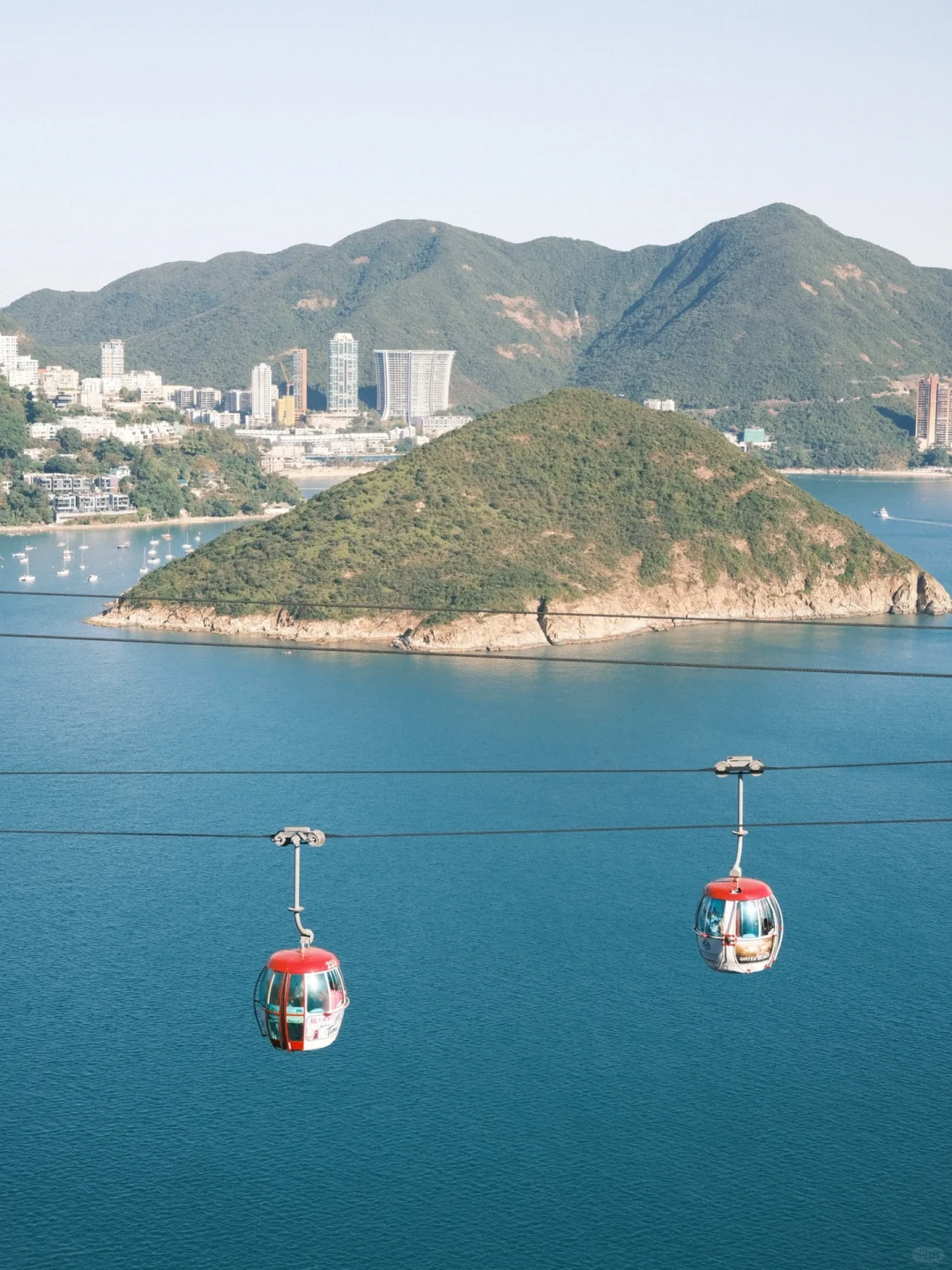 ?香港海洋公园圣诞游玩必知道的10件事