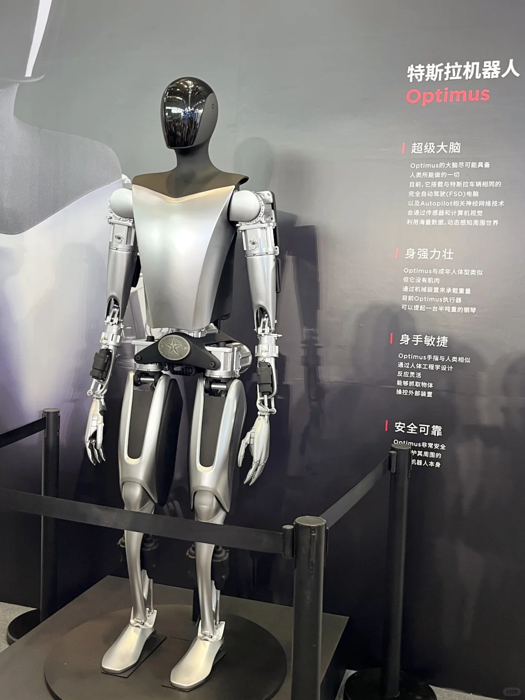 数博会现场图来啦