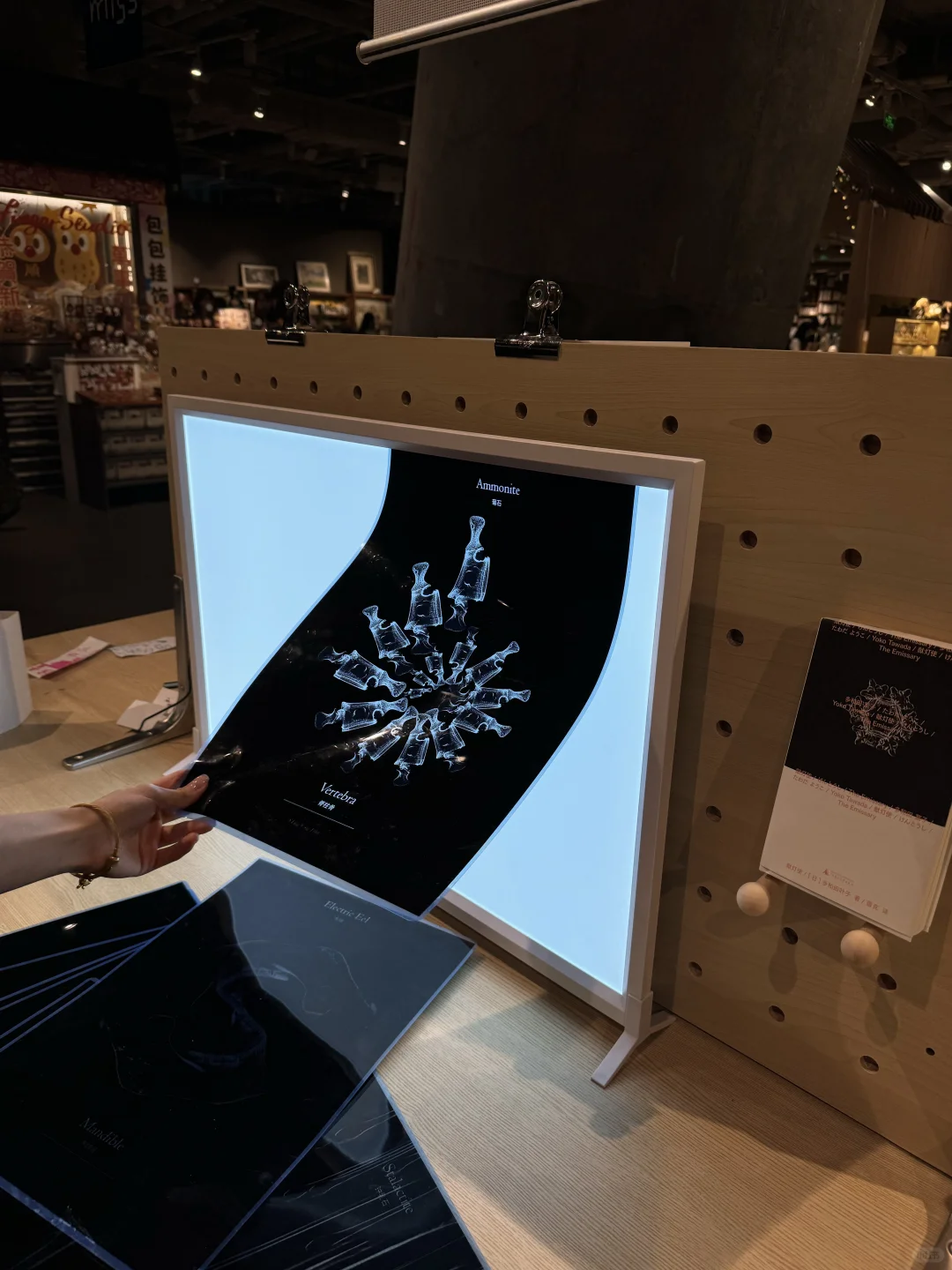 广州新展 ｜冷血“人类”是没有手印的！?️