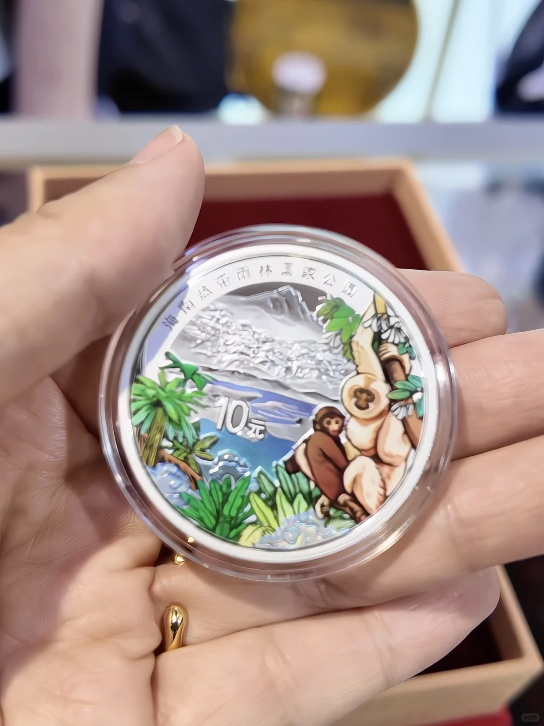 消博会探宝：我发现了热带雨林的微缩史诗