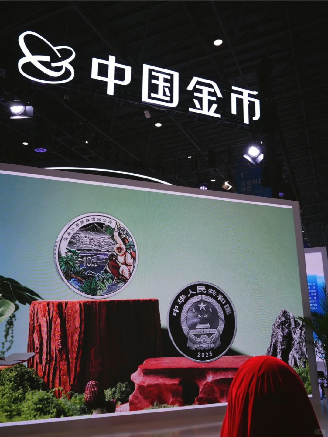 消博会探宝：我发现了热带雨林的微缩史诗