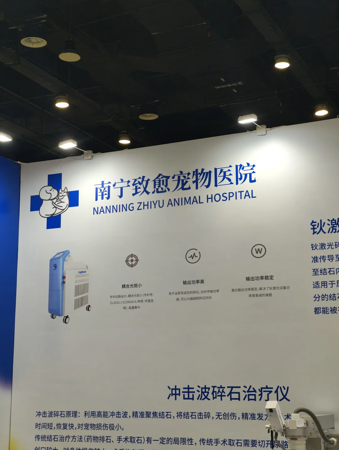 我和治愈一起在东盟宠物博览会等你！