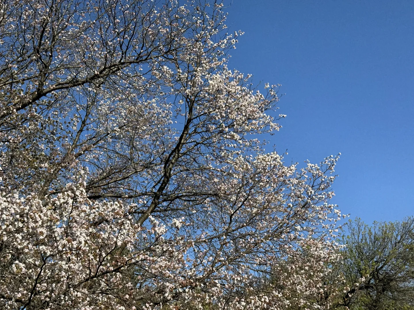山梨県県立美術館：米勒展