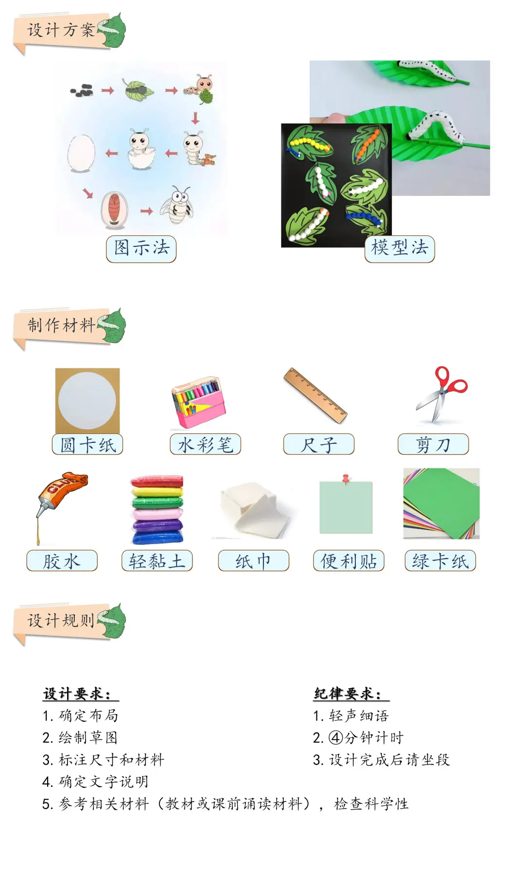 三年级《蚕的一生模型建构》全记录