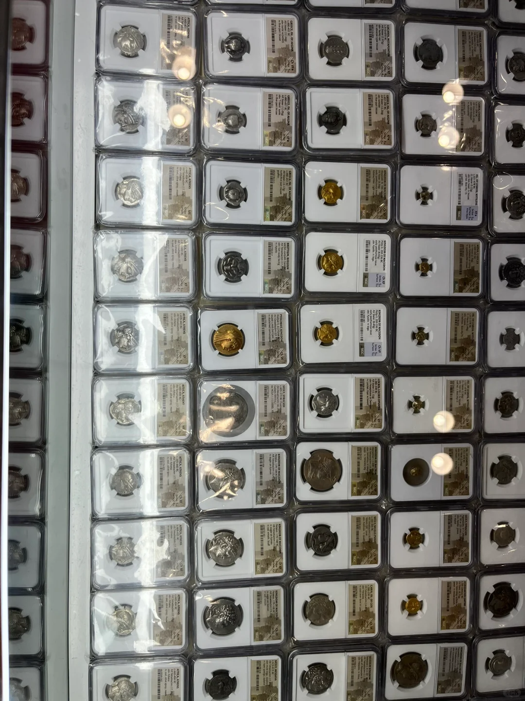 国际钱币博览会——逛到腿软