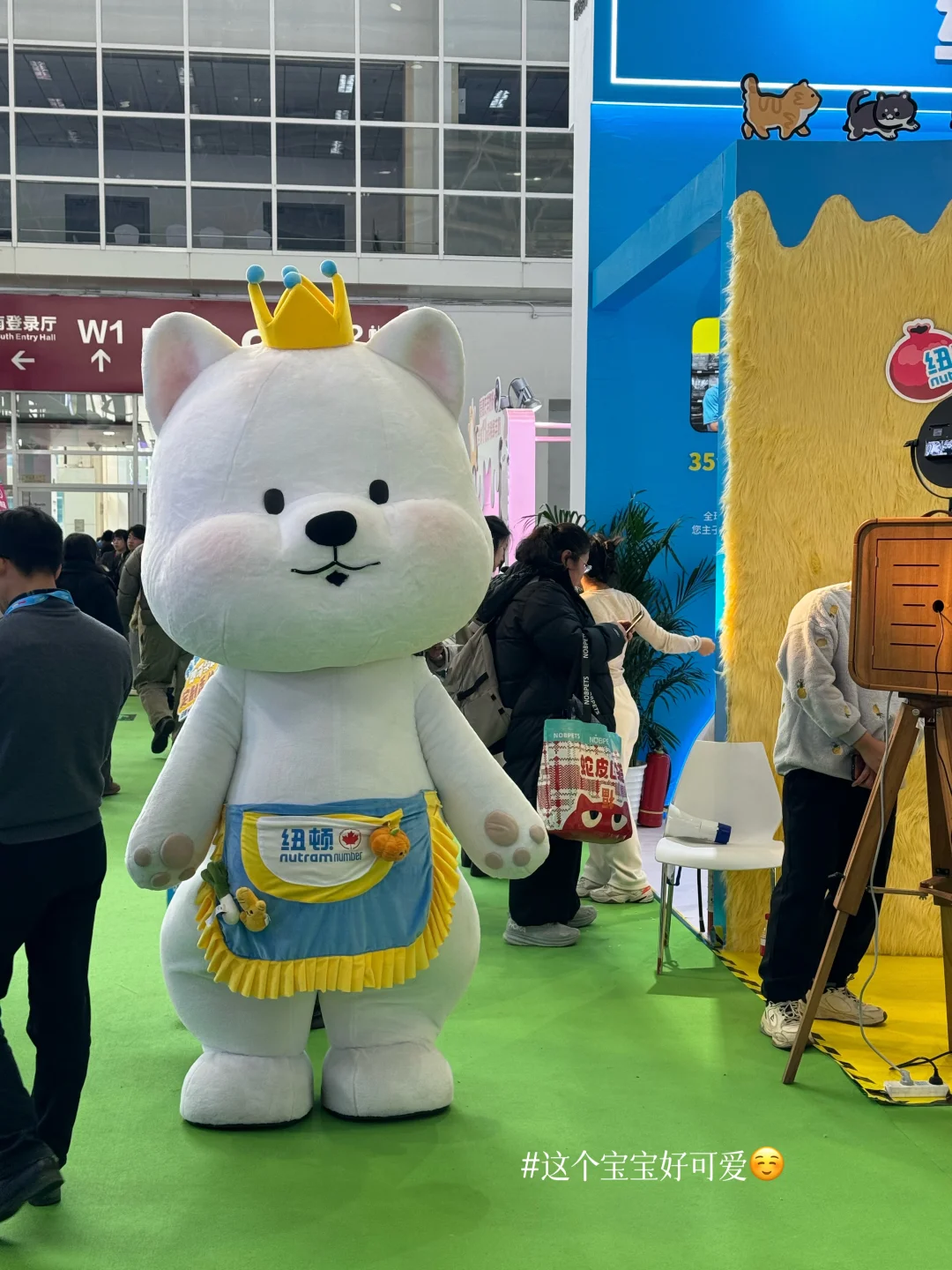 京宠展攻略｜显眼包打猎圆满归来?