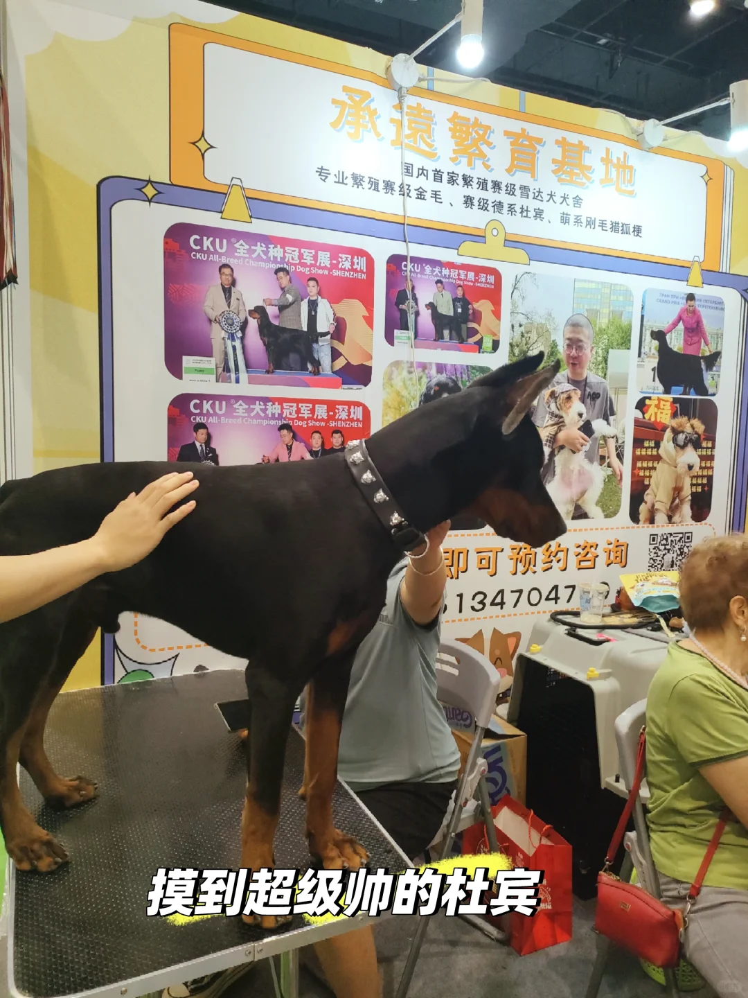 南宁宠物博览会我会爱你一辈子的！！