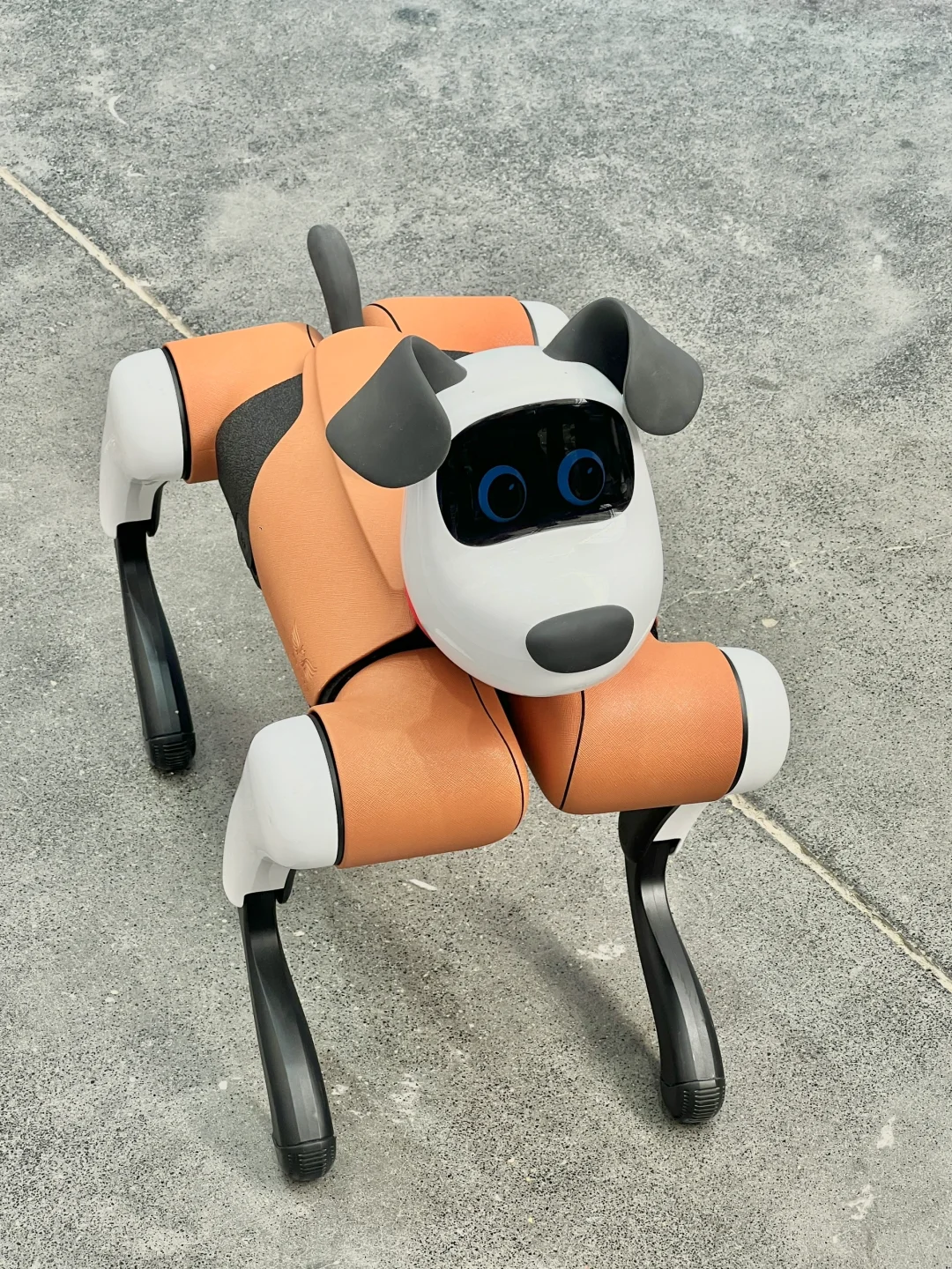 北京郎园。。。这是在干嘛？？？？排了三圈