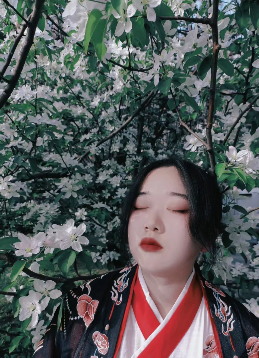 （已满，谢谢～）漫展自由行互助