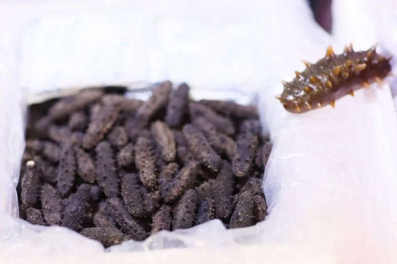 ?深圳四月最燃的必逛展会！