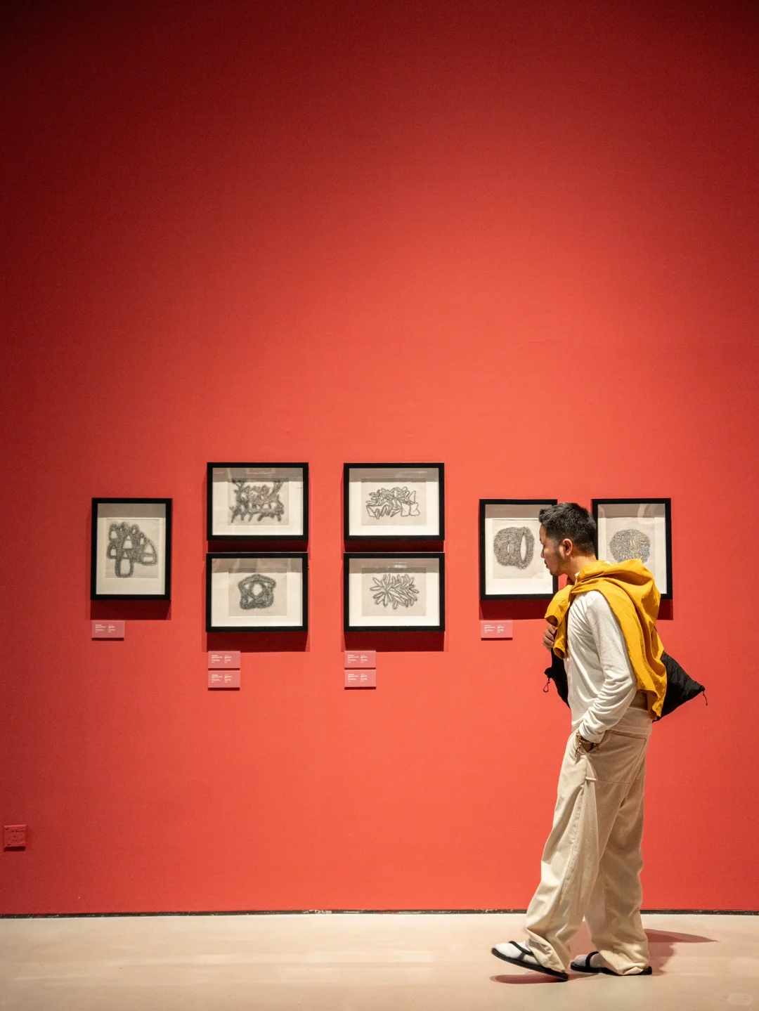 深圳·永远热衷五彩斑斓，这个新展有点东西..