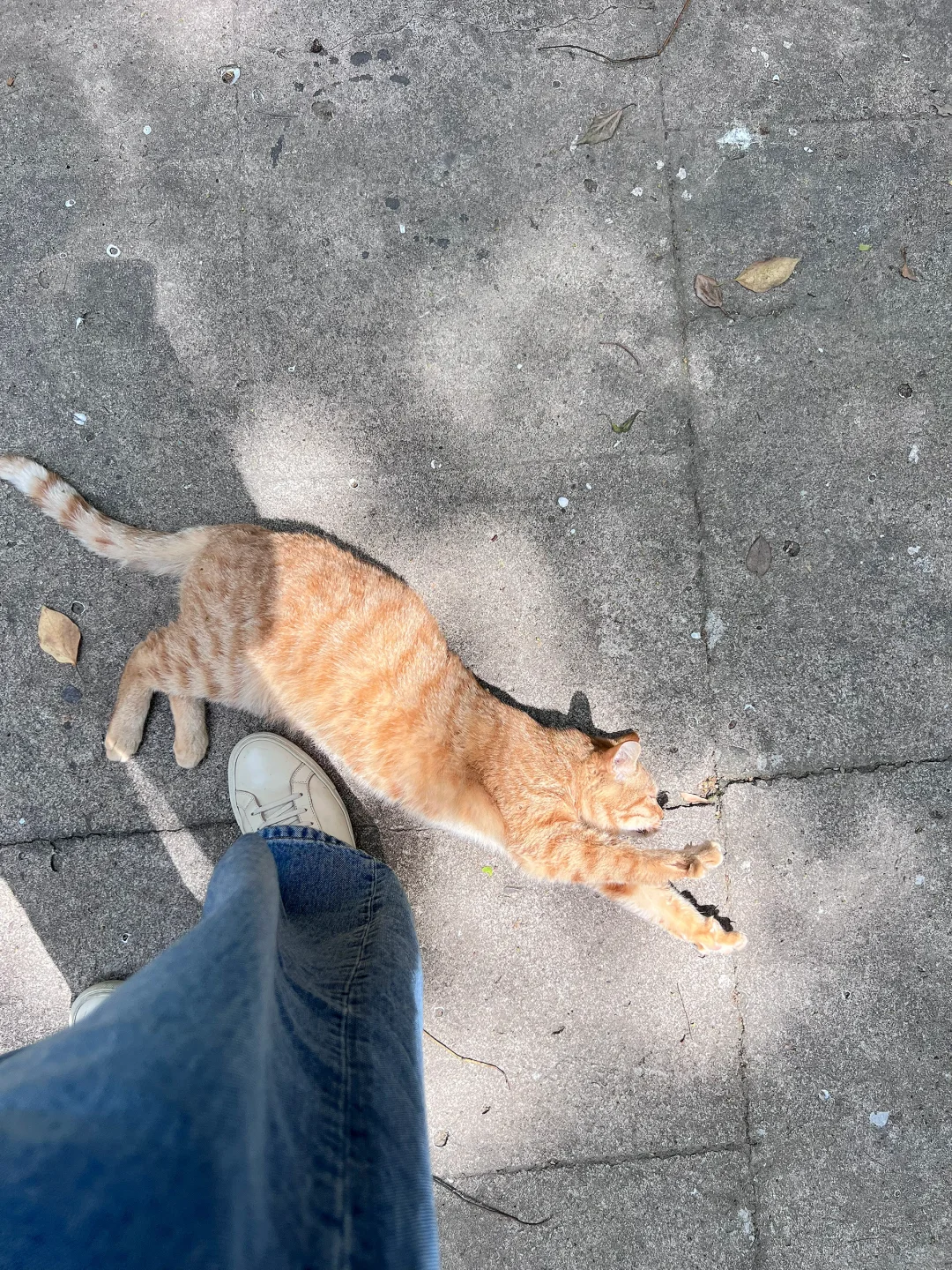 小美精的Marimekko北欧织物展