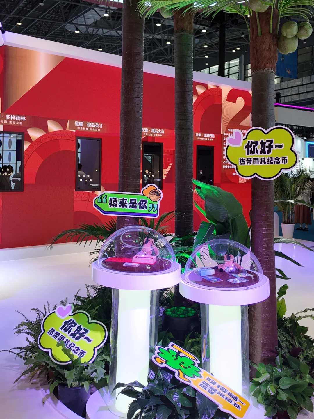 消博会探宝：我发现了热带雨林的微缩史诗