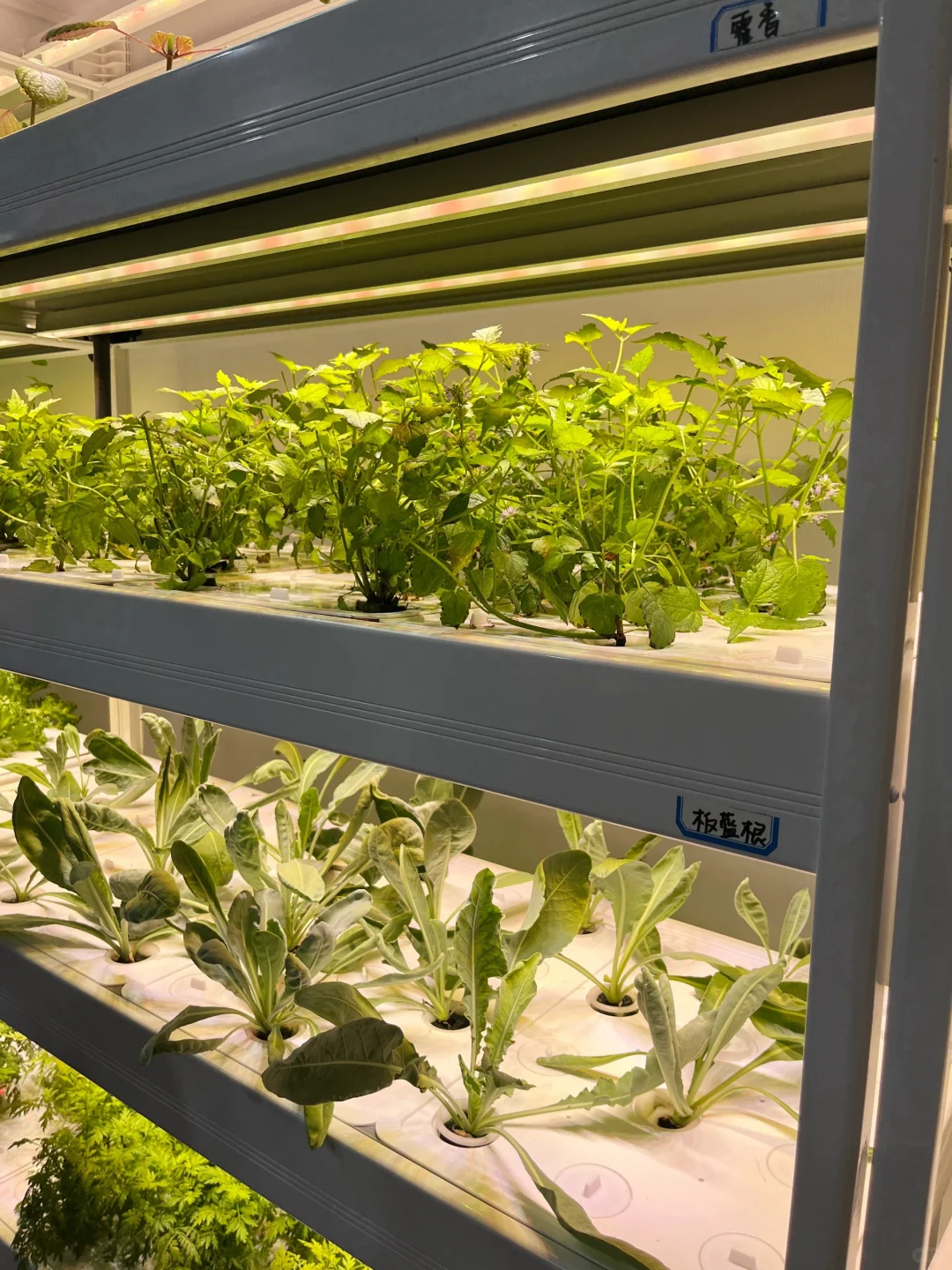 数博会现场图来啦