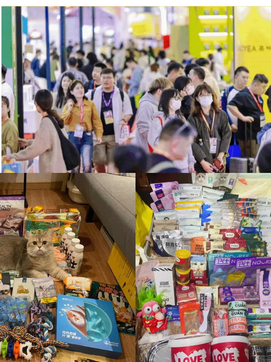 请45位铲屎官逛上海它博会！给毛孩子薅零食