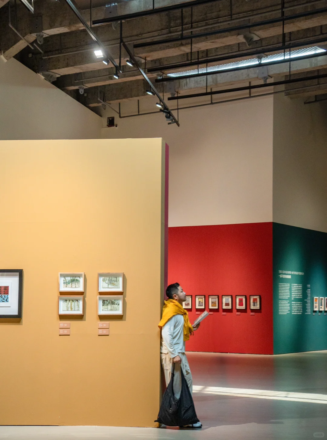 深圳·永远热衷五彩斑斓，这个新展有点东西..