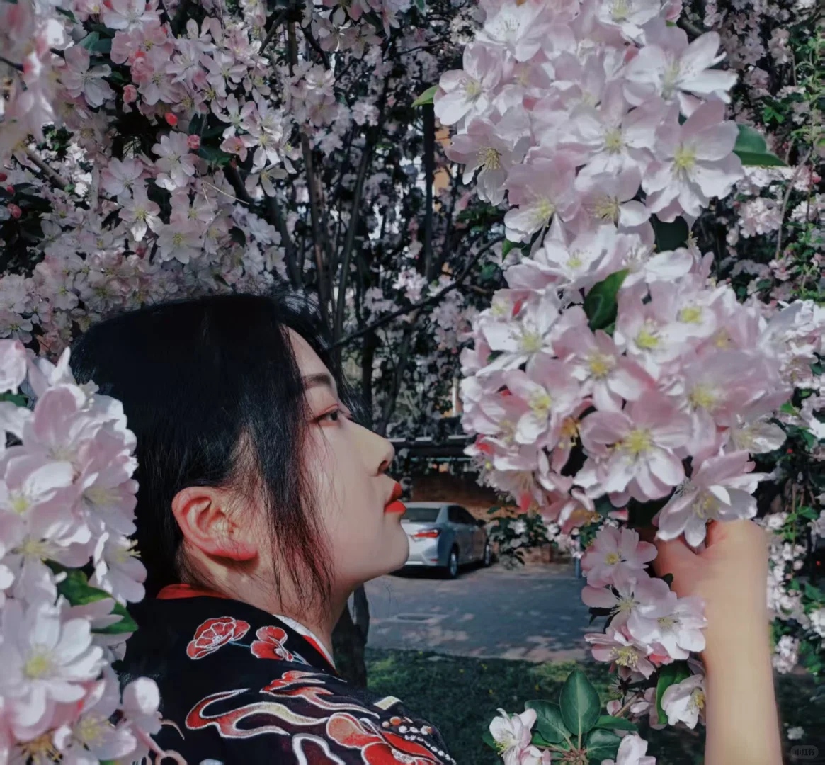 （已满，谢谢～）漫展自由行互助