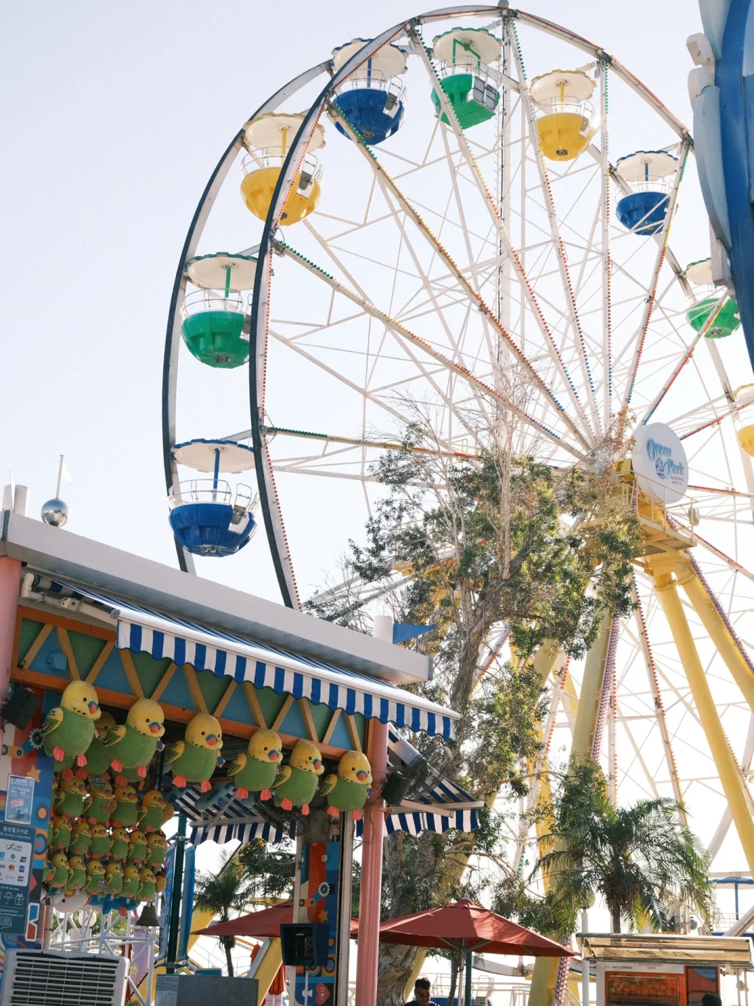 ?香港海洋公园圣诞游玩必知道的10件事