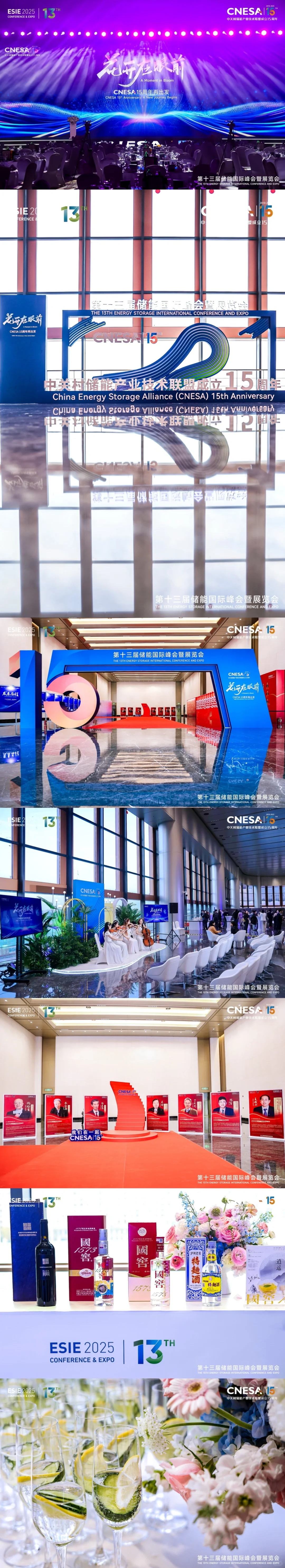 第十三届储能国际峰会暨展览会（ESIE 2025）