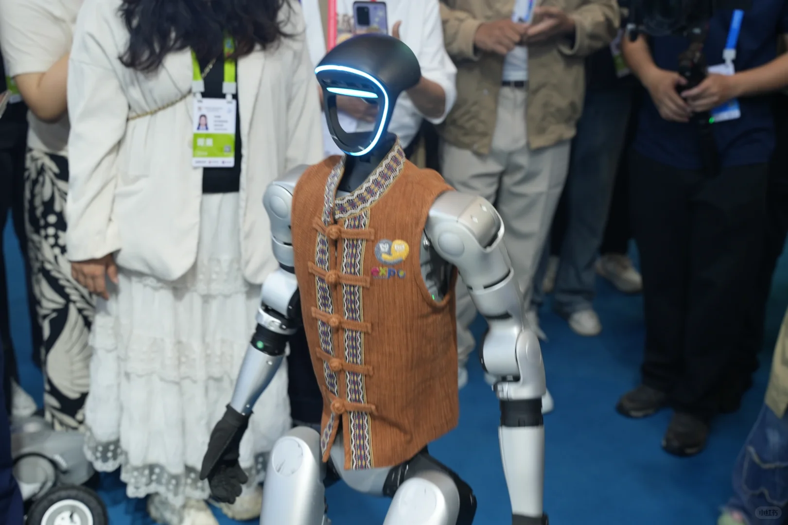 第五届消博博会，亮点纷呈