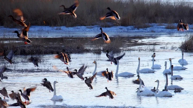 北影节｜雁栖湖国际会都