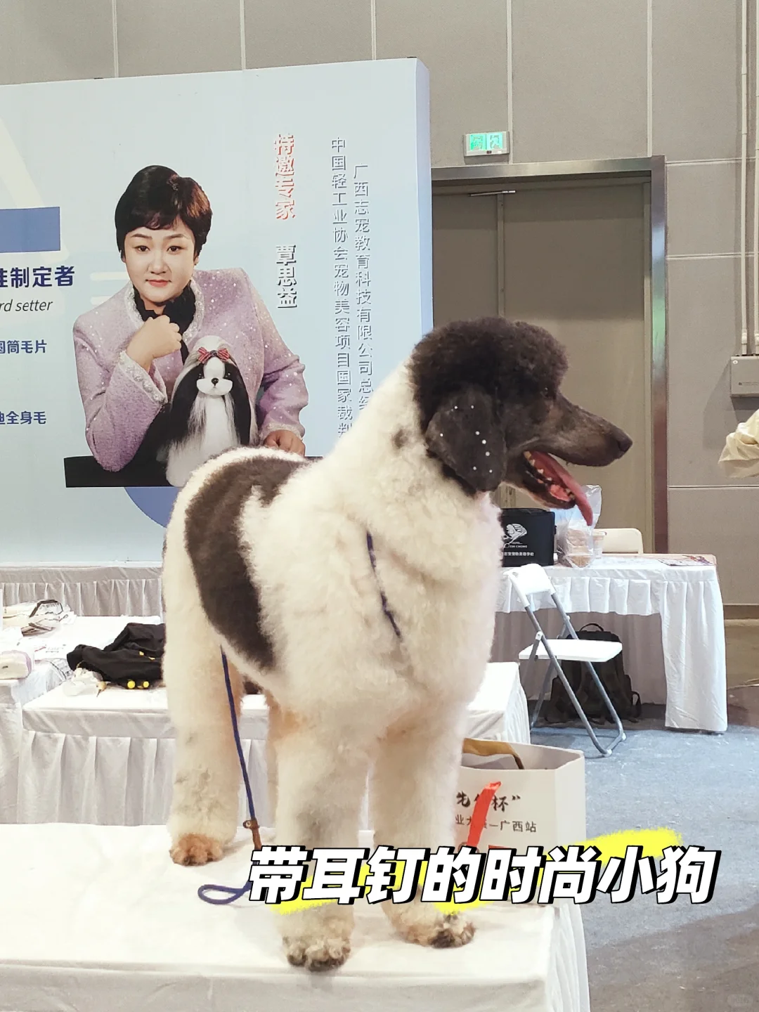 南宁宠物博览会我会爱你一辈子的！！