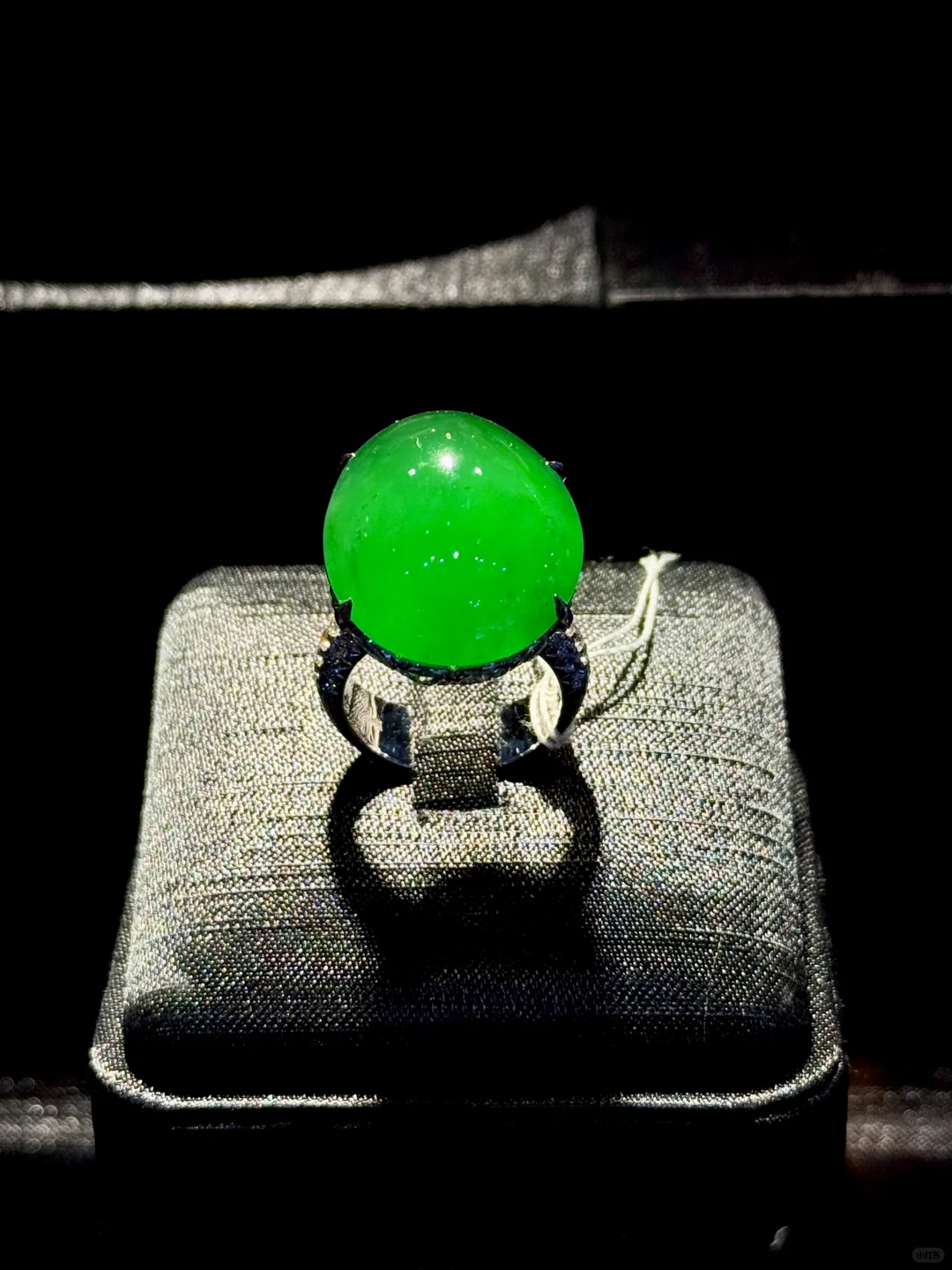 真的建议所有女生去看一看这个展