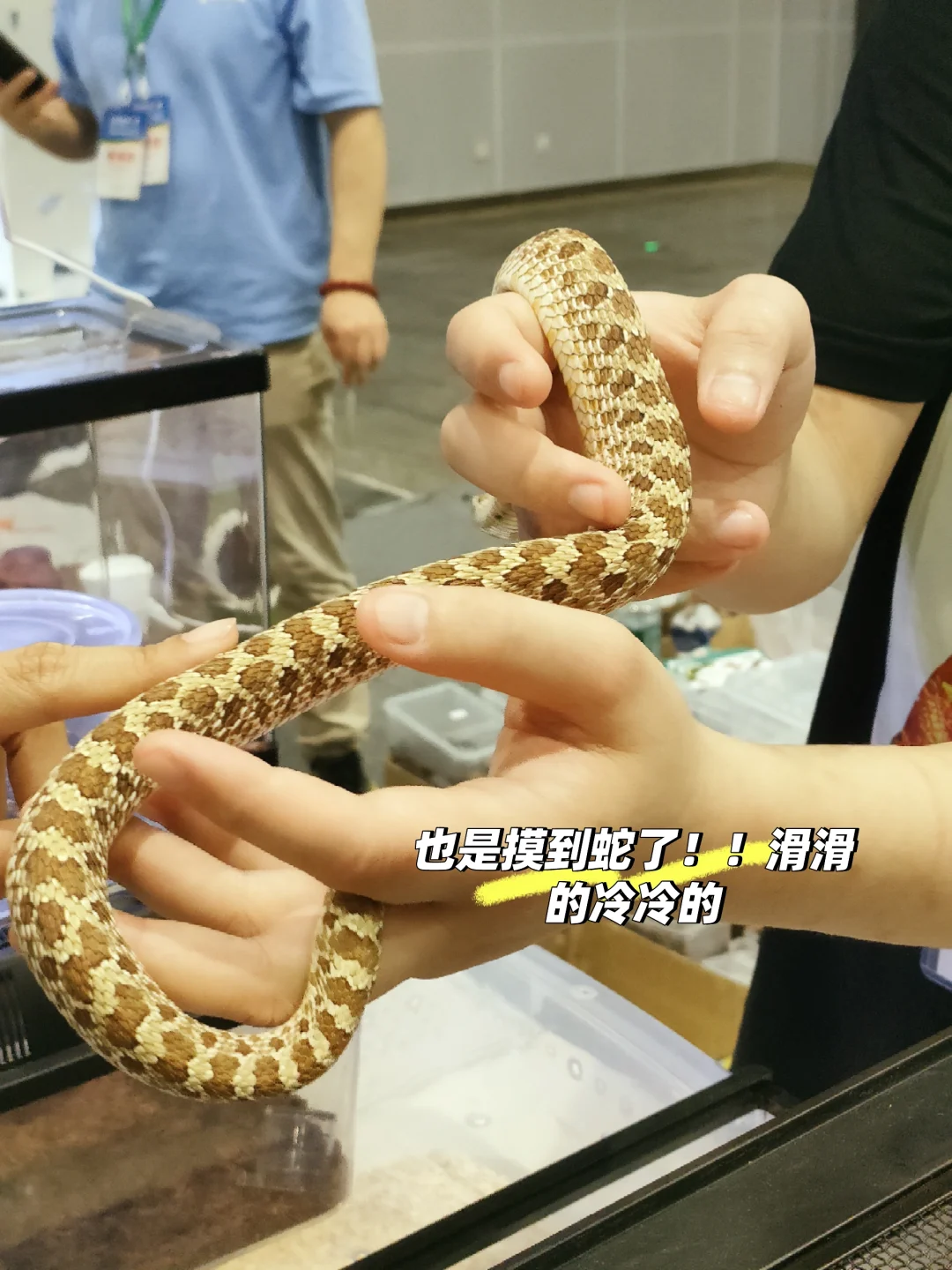 南宁宠物博览会我会爱你一辈子的！！