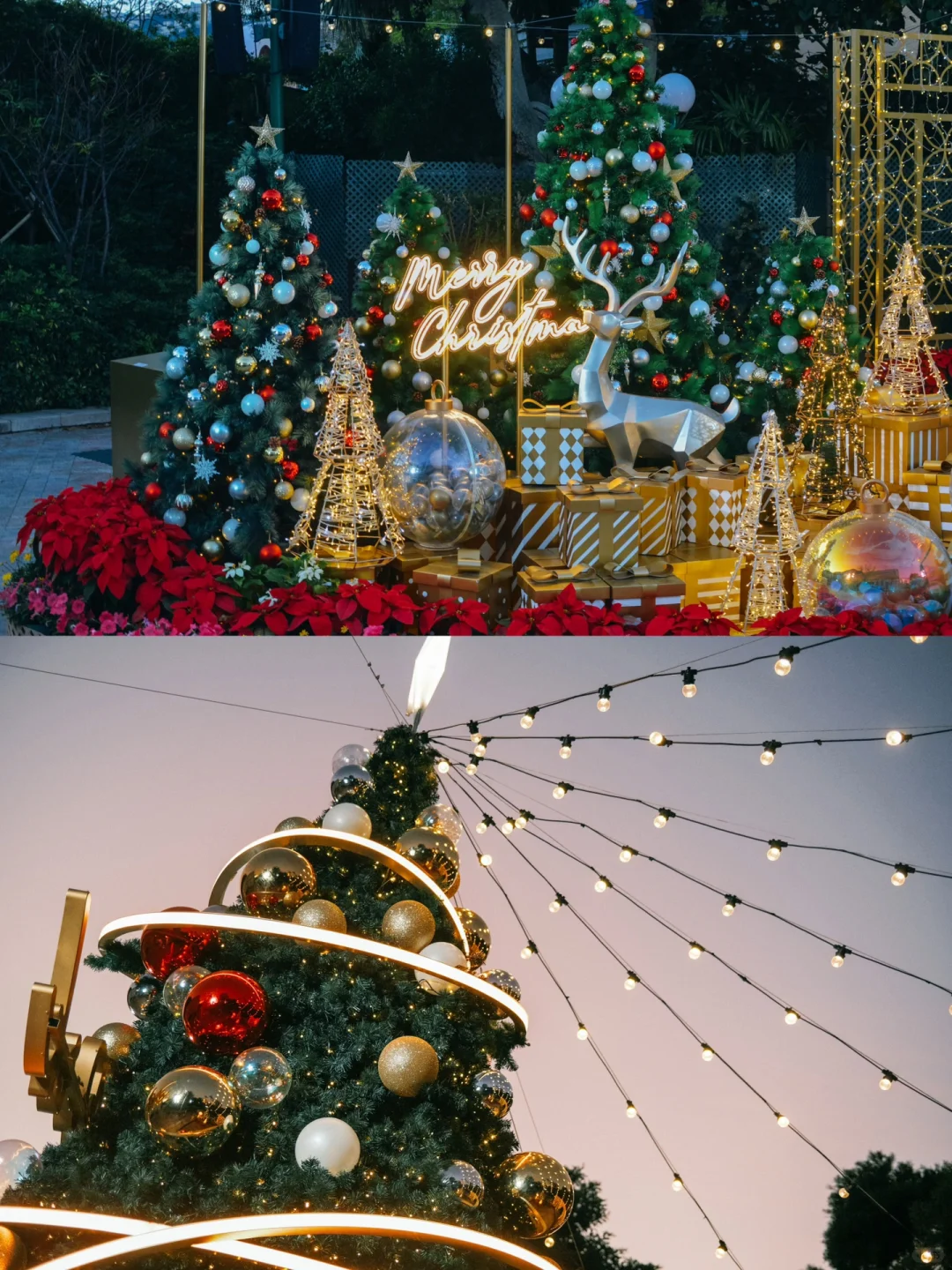 ?香港海洋公园圣诞游玩必知道的10件事